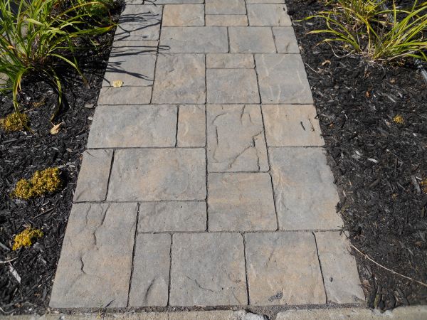 Cost of Stamped Concrete Staining in Manteca
