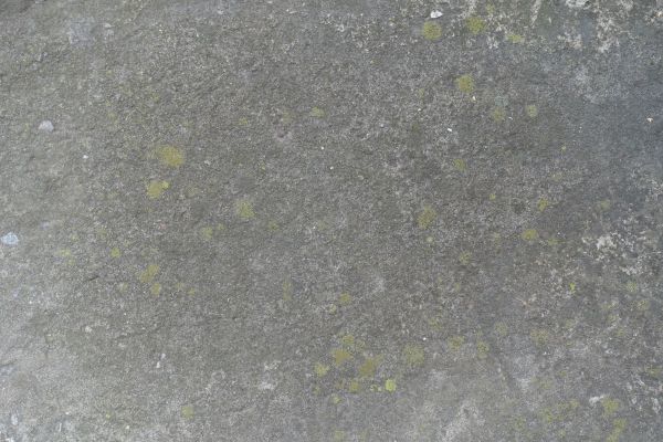 Cost of Slab Staining Service in Manteca
